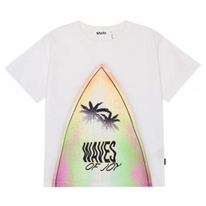 Molo Riley Boys' T Shirts Tops Surfboard | ZA0000813