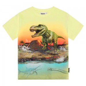 Molo Riley Boys' T Shirts Tops Volcano Dino | ZA0000808