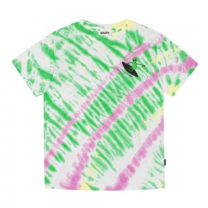 Molo Rodney Boys' T Shirts Tops Green Helio Dye | ZA0000816