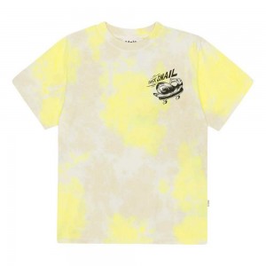 Molo Rodney Boys' T Shirts Tops Lemon Sand Dye | ZA0000825