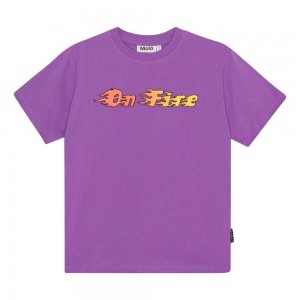 Molo Rodney Boys' T Shirts Tops Purple Sky | ZA0000852