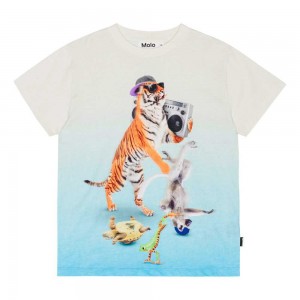 Molo Roxo Boys' T Shirts Tops Dance Animals | ZA0000854