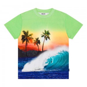 Molo Roxo Boys' T Shirts Tops Green Sunset | ZA0000771