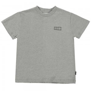 Molo Roxo Boys' T Shirts Tops Grey Melange | ZA0000871