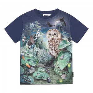 Molo Roxo Boys' T Shirts Tops Night Garden | ZA0000826