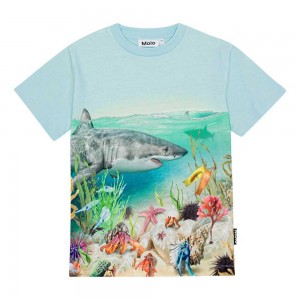 Molo Roxo Boys' T Shirts Tops Shore Life | ZA0000789