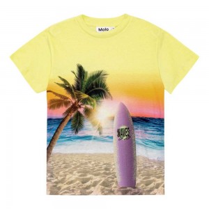 Molo Roxo Boys' T Shirts Tops Sunset Surf | ZA0000776