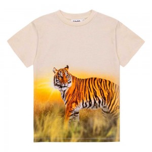 Molo Roxo Boys' T Shirts Tops Tiger Sand | ZA0000855