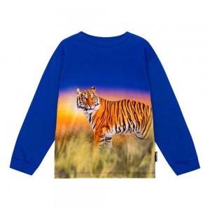 Molo Rube Boys' T Shirts Tops Tiger Reef | ZA0000856