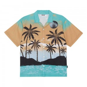 Molo Rui Boys' Shirts Holiday Island | ZA0000681