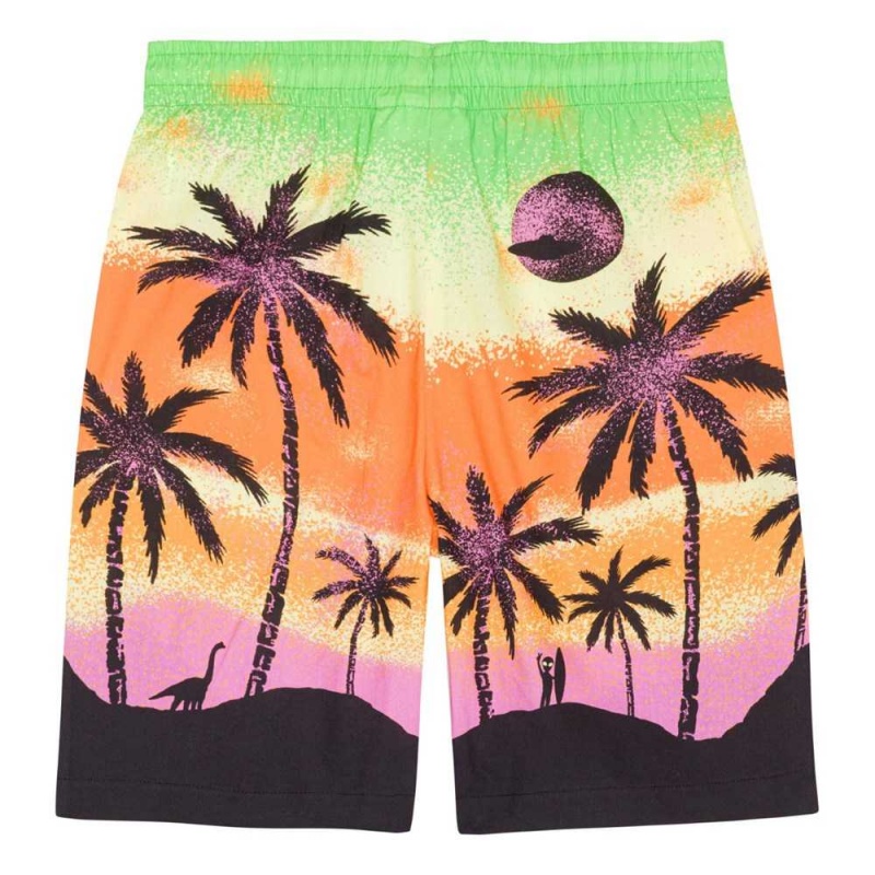 Molo Adi Boys' Shorts Alien Island | ZA0000688