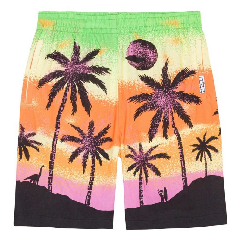 Molo Adi Boys\' Shorts Alien Island | ZA0000688