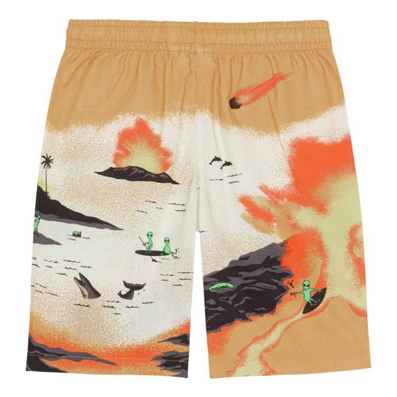 Molo Adi Boys' Shorts Alien Tourists | ZA0000711