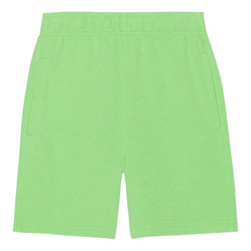 Molo Adian Boys\' Shorts Grass Green | ZA0000699