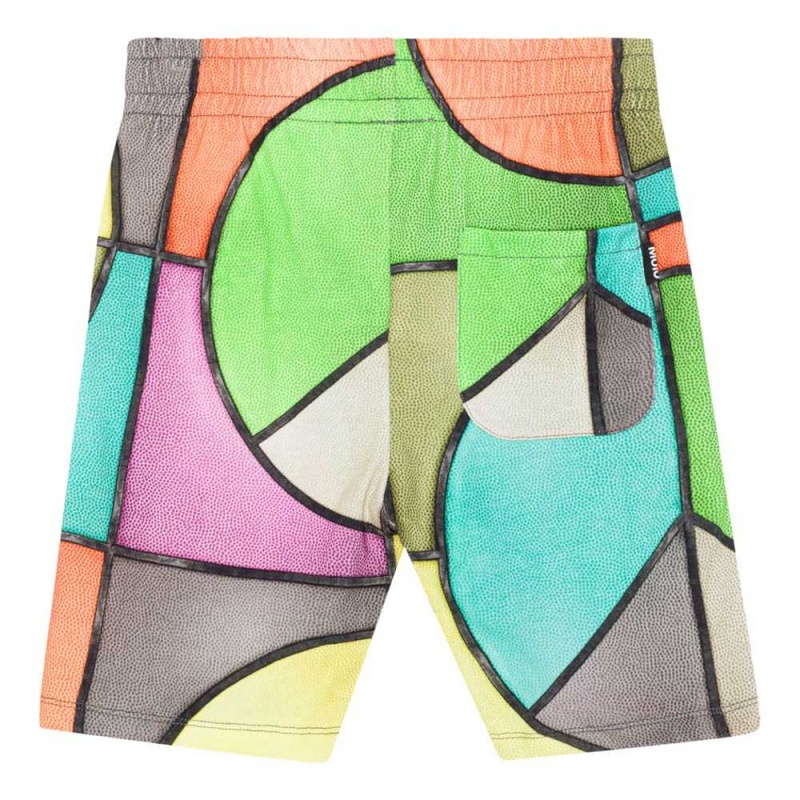 Molo Alim Boys' Shorts Basket Colour | ZA0000694