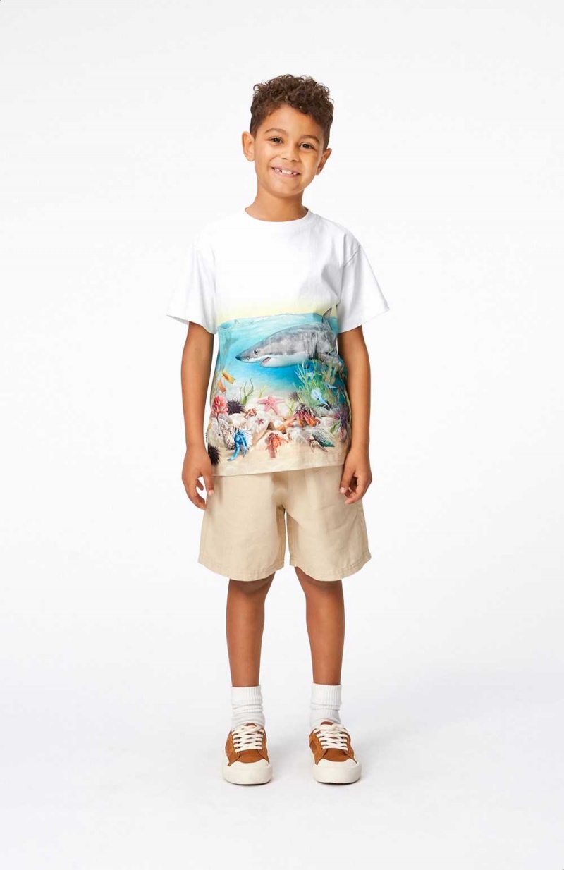 Molo Amal Boys' Shorts Sandy | ZA0000710