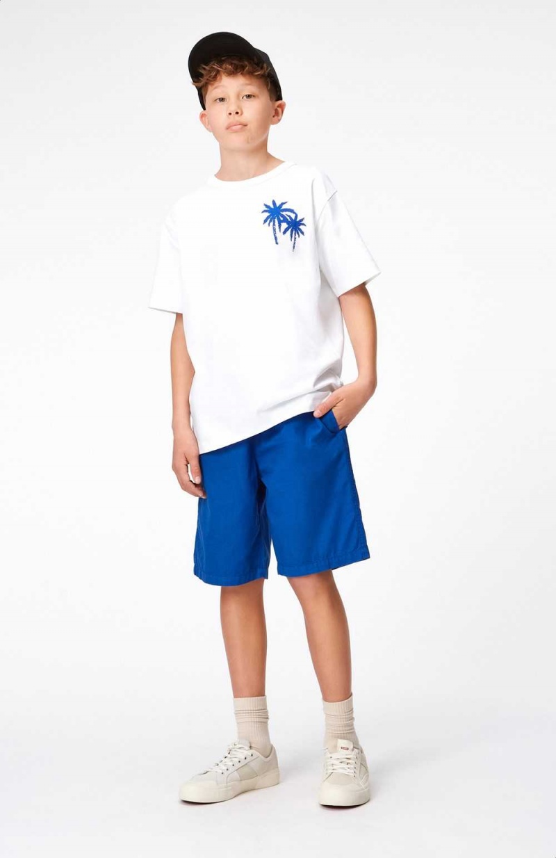 Molo Arrow Boys' Shorts Reef Blue | ZA0000686