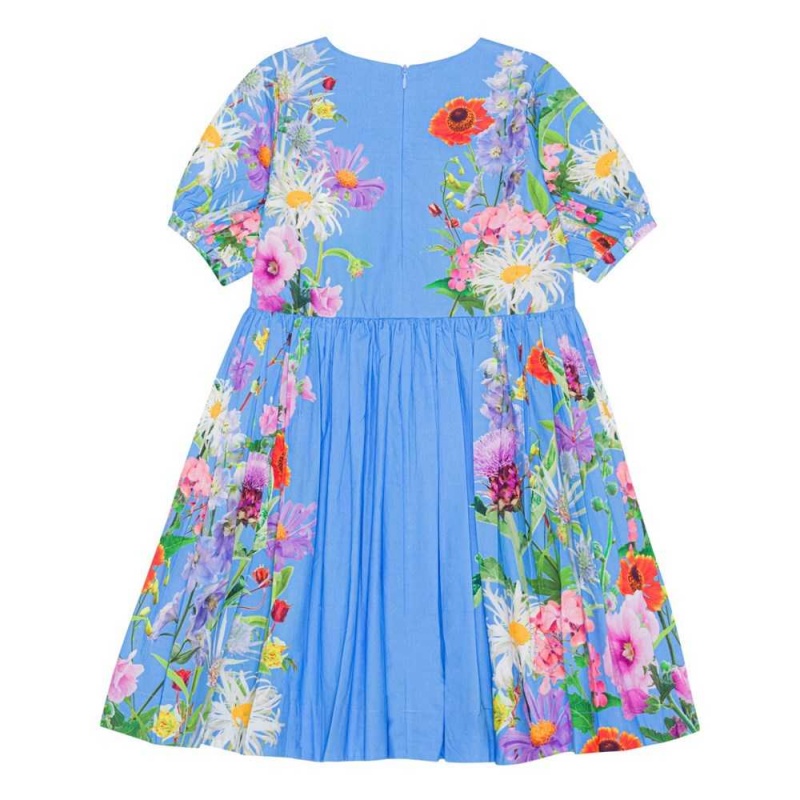 Molo Casey Girls' Dresses Blue Garden | ZA0000245