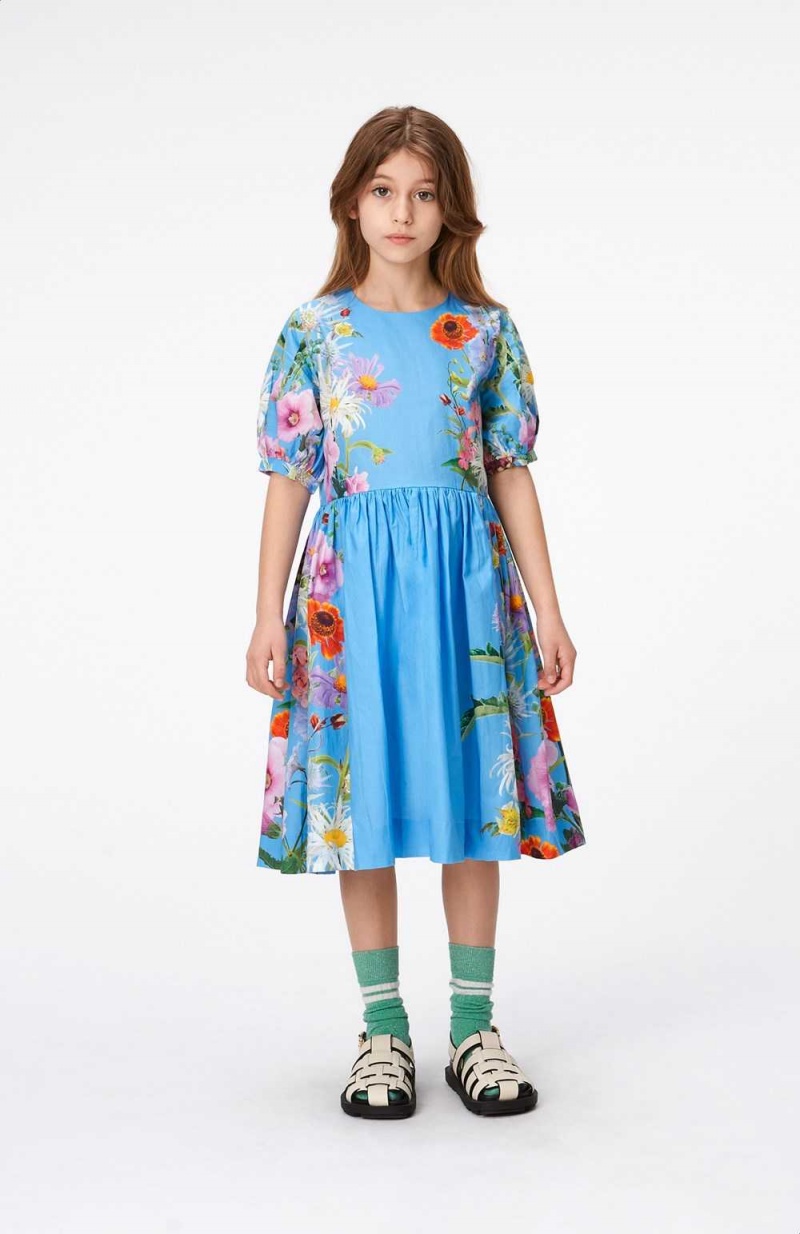 Molo Casey Girls' Dresses Blue Garden | ZA0000245