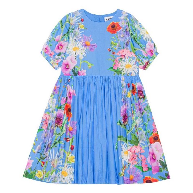 Molo Casey Girls\' Dresses Blue Garden | ZA0000245