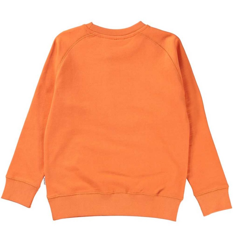 Molo Mike Boys' Sweatshirts Cardigans Ember | ZA0000742