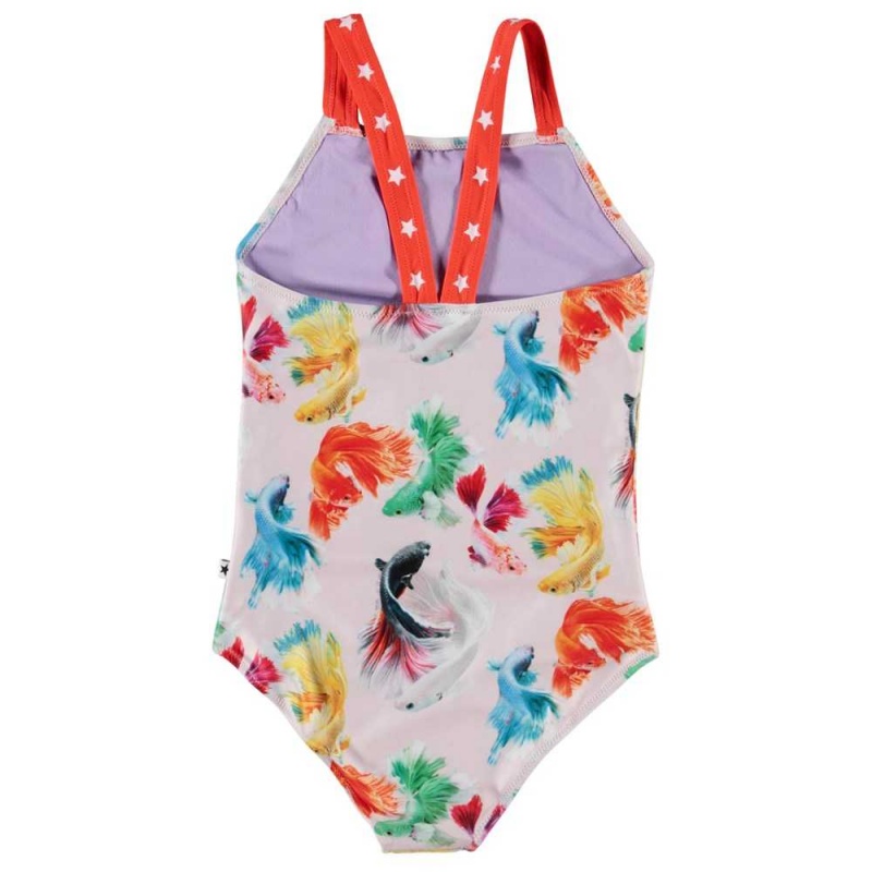 Molo Nakia Swimsuits Betta Flowers | ZA0001197