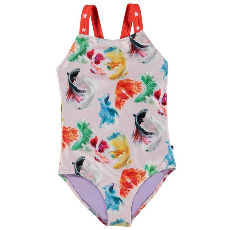 Molo Nakia Swimsuits Betta Flowers | ZA0001197