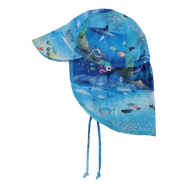 Molo Nando Hats & Caps Ocean Zones | ZA0000939