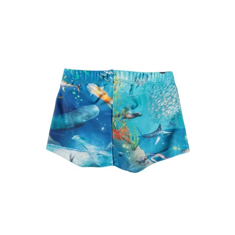 Molo Nansen Swimshorts Ocean Zones | ZA0001138