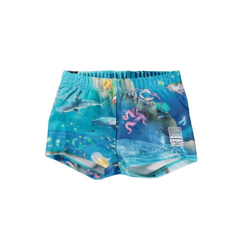 Molo Nansen Swimshorts Ocean Zones | ZA0001138