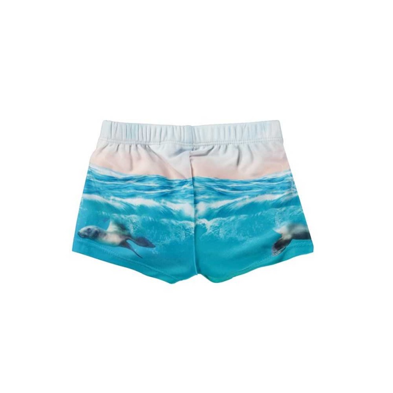 Molo Nansen Swimshorts Sealion | ZA0001115