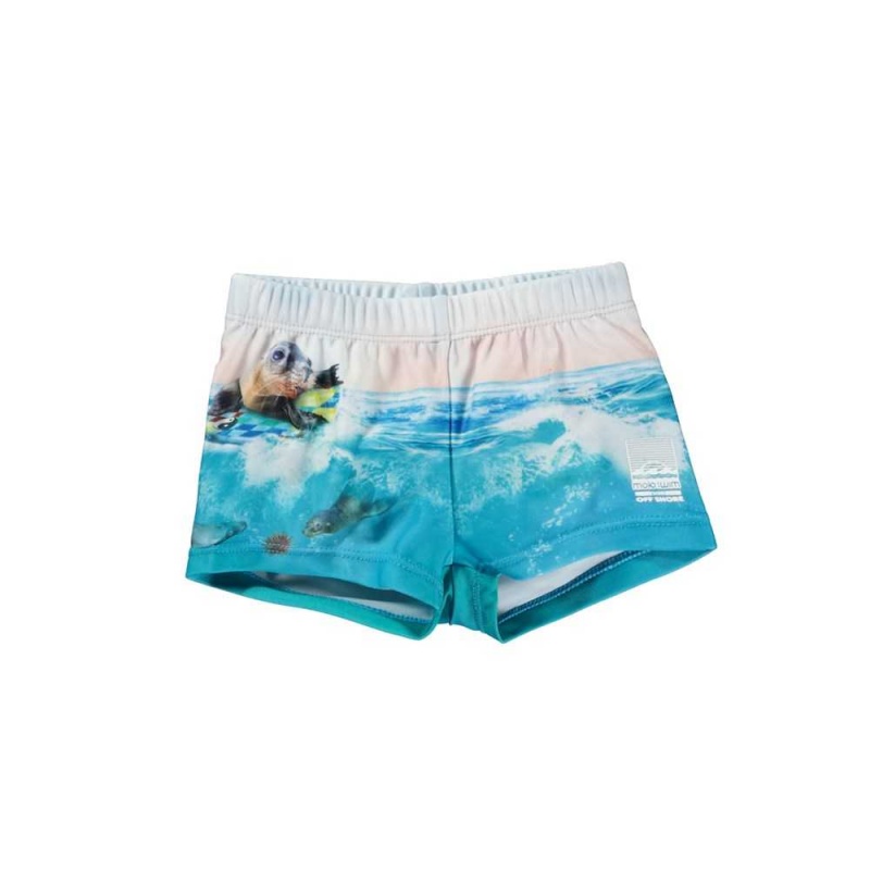 Molo Nansen Swimshorts Sealion | ZA0001115