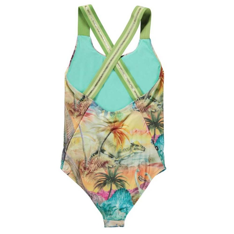 Molo Neve Swimsuits Dino Paradis | ZA0001204