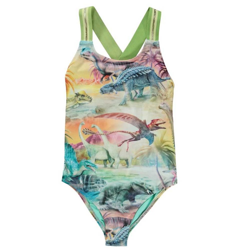 Molo Neve Swimsuits Dino Paradis | ZA0001204