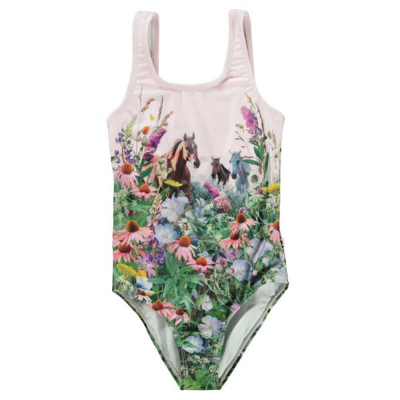 Molo Nika Swimsuits Wild Horses | ZA0001208