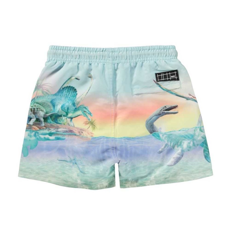 Molo Niko Swimshorts Ancient Island | ZA0001134