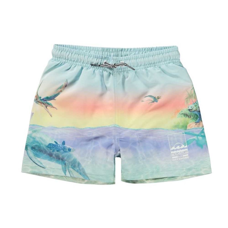 Molo Niko Swimshorts Ancient Island | ZA0001134