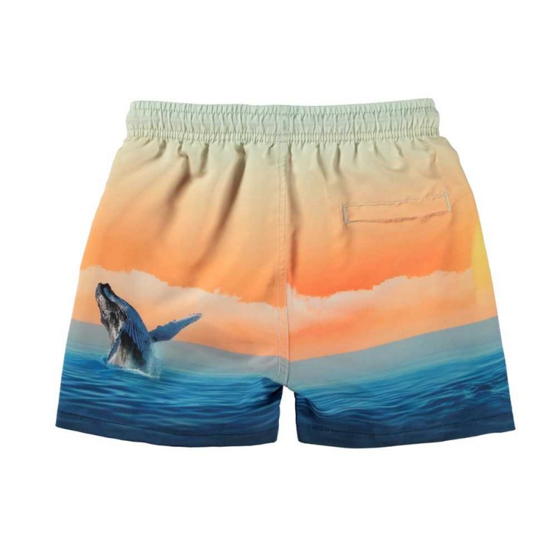 Molo Niko Swimshorts Ocean Smile | ZA0001143