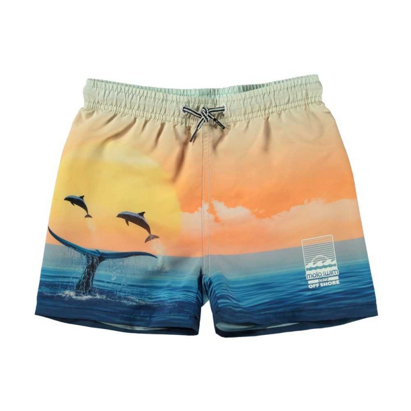 Molo Niko Swimshorts Ocean Smile | ZA0001143