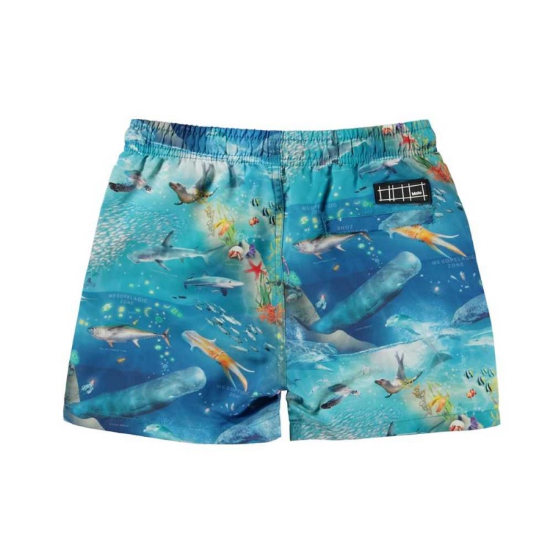 Molo Niko Swimshorts Ocean Zones | ZA0001137