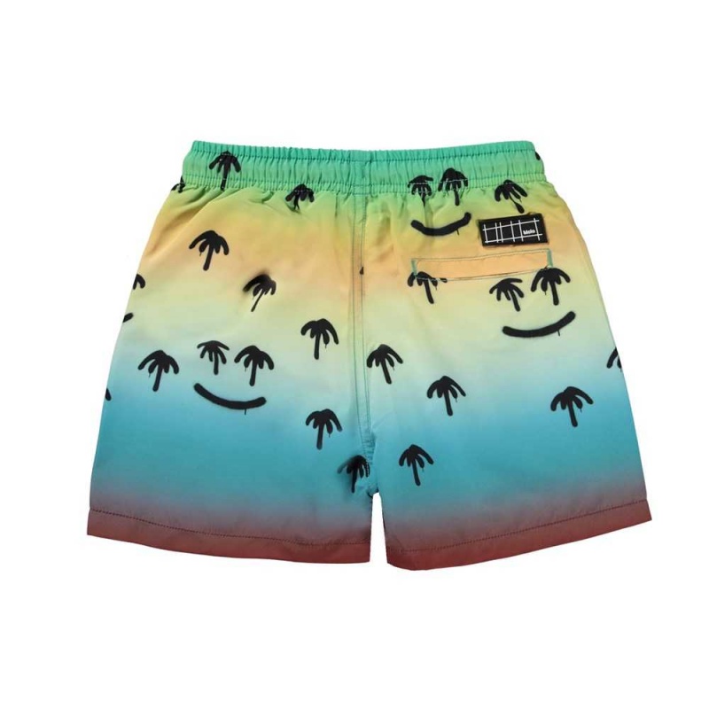 Molo Niko Swimshorts Palm Spray | ZA0001117