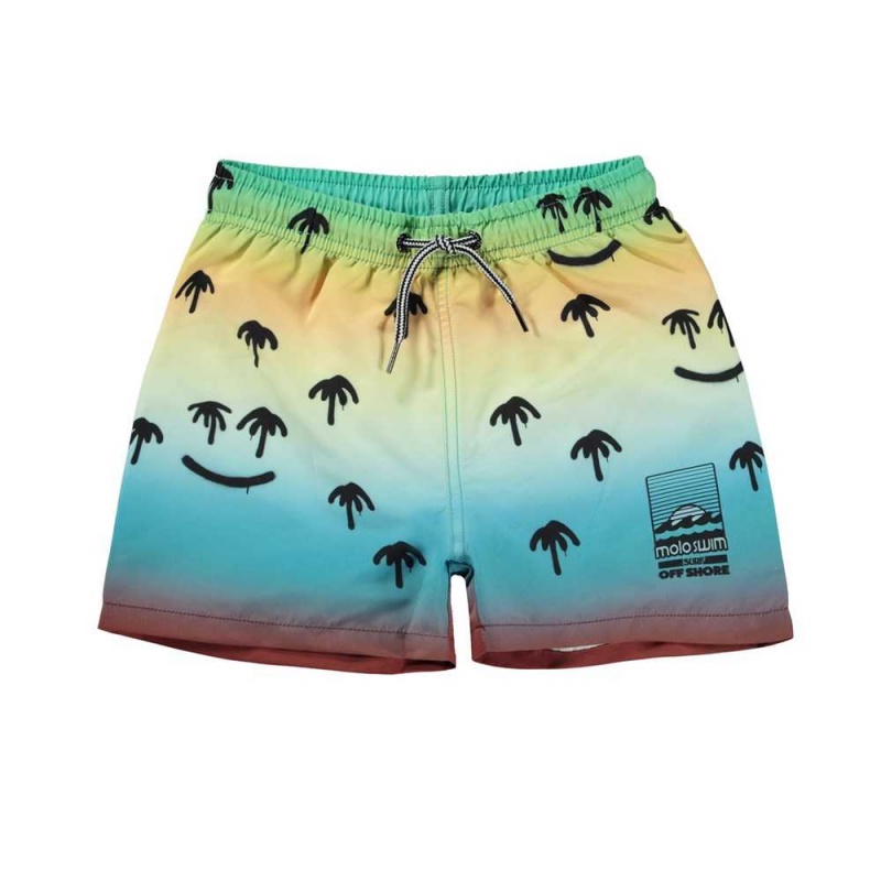 Molo Niko Swimshorts Palm Spray | ZA0001117