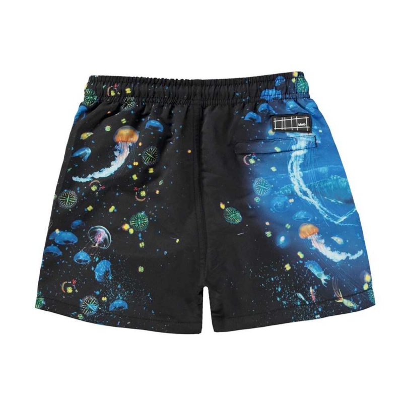 Molo Niko Swimshorts Plankton | ZA0001159