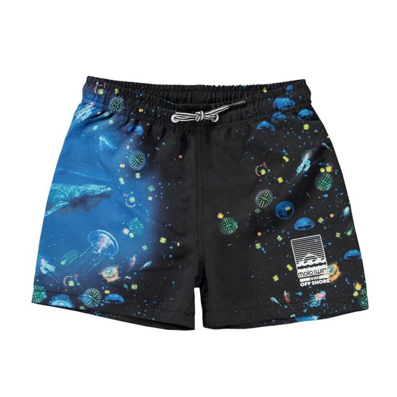 Molo Niko Swimshorts Plankton | ZA0001159