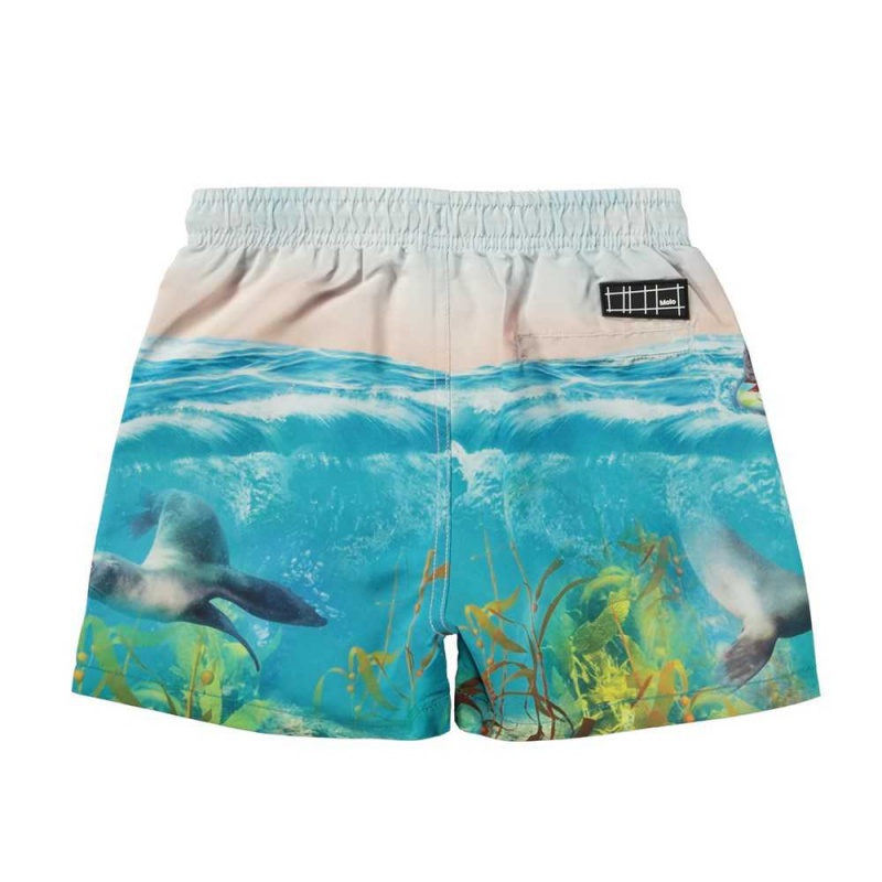 Molo Niko Swimshorts Sealion | ZA0001116