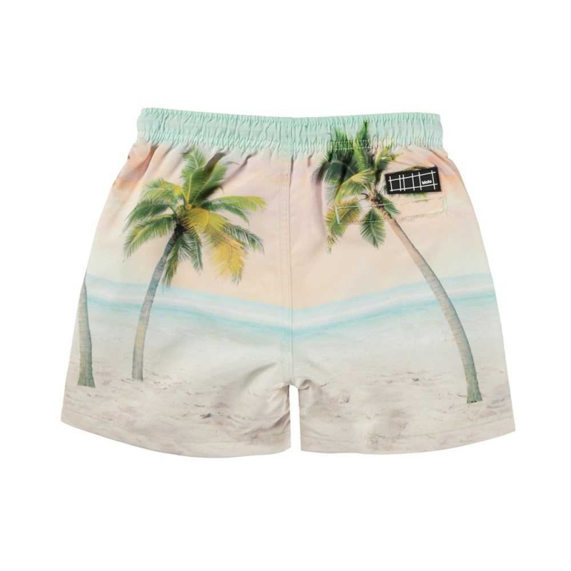 Molo Niko Swimshorts Sunrise Surfer | ZA0001120