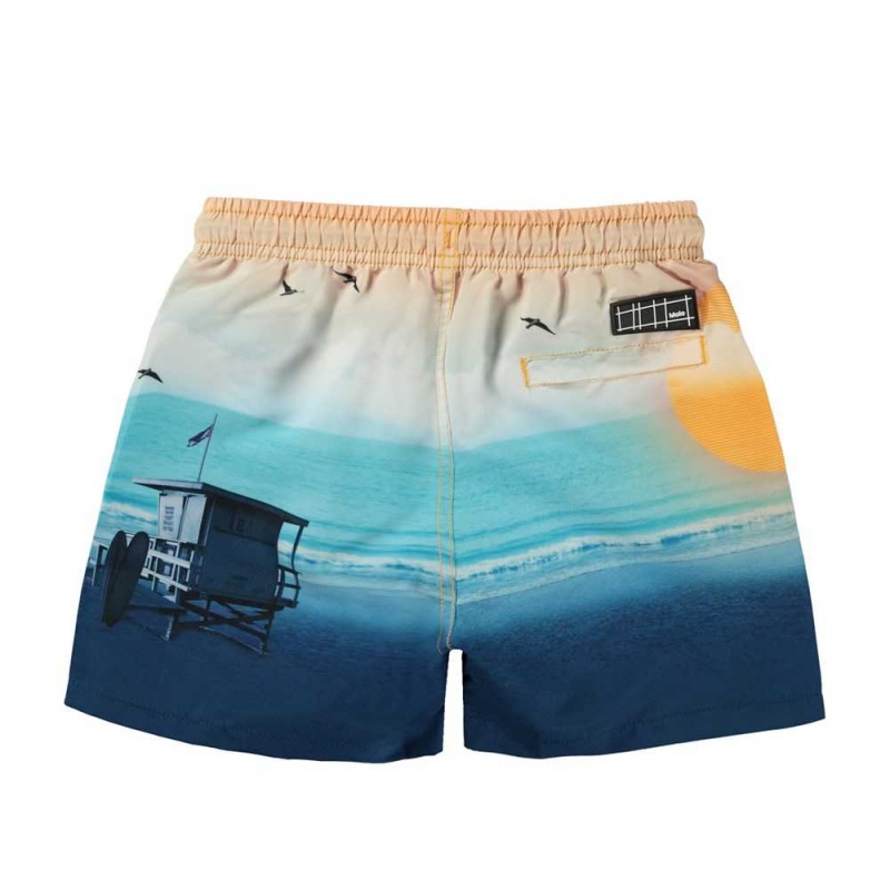 Molo Niko Swimshorts Sunset Beach | ZA0001145