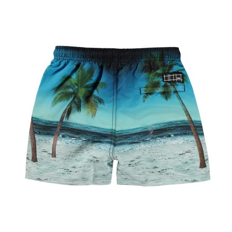 Molo Niko Swimshorts Sunset Surfer | ZA0001121