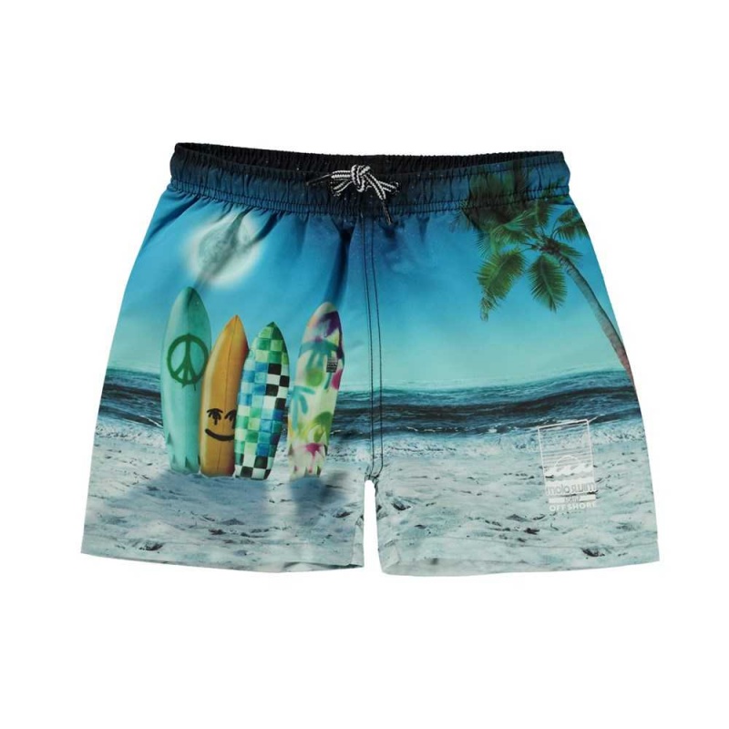 Molo Niko Swimshorts Sunset Surfer | ZA0001121