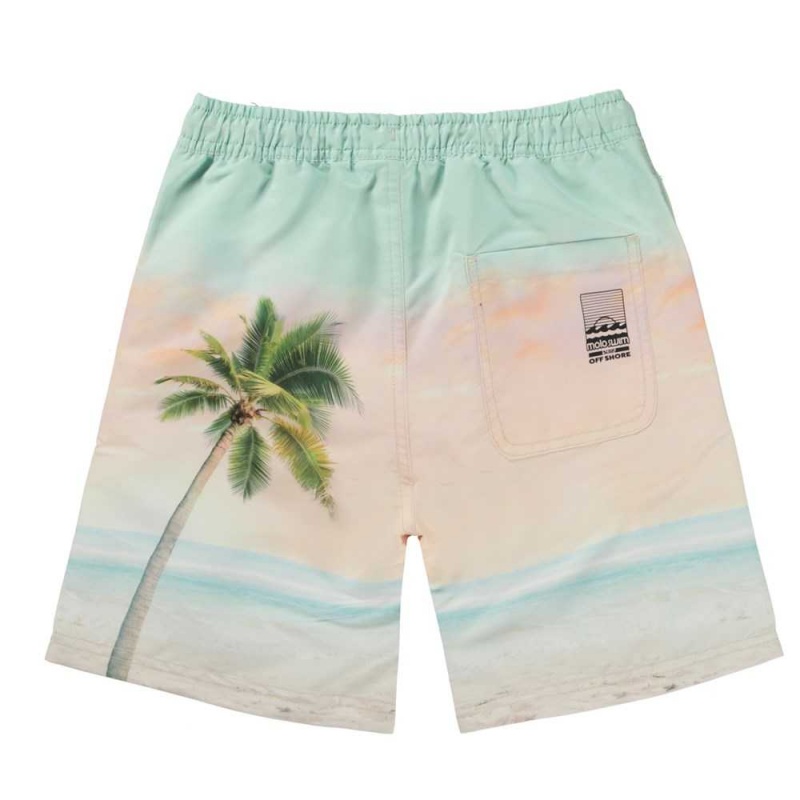 Molo Nilson Swimshorts Sunrise Surfer | ZA0001123